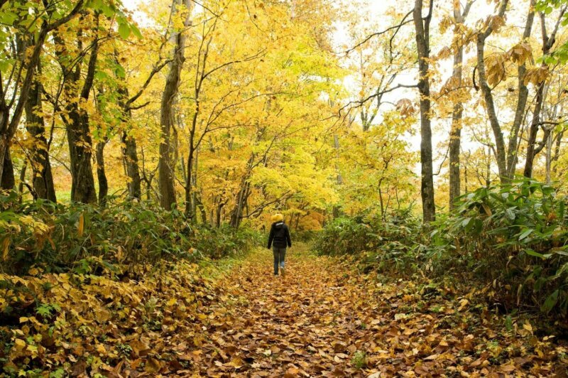 Hiking