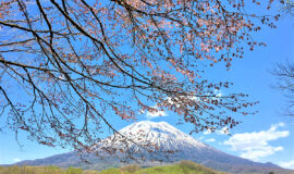 Beautiful scenery of niseko spring 2017 5