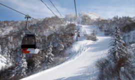 winter 5