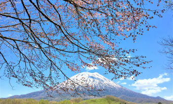 Beautiful scenery of niseko spring 2017 5