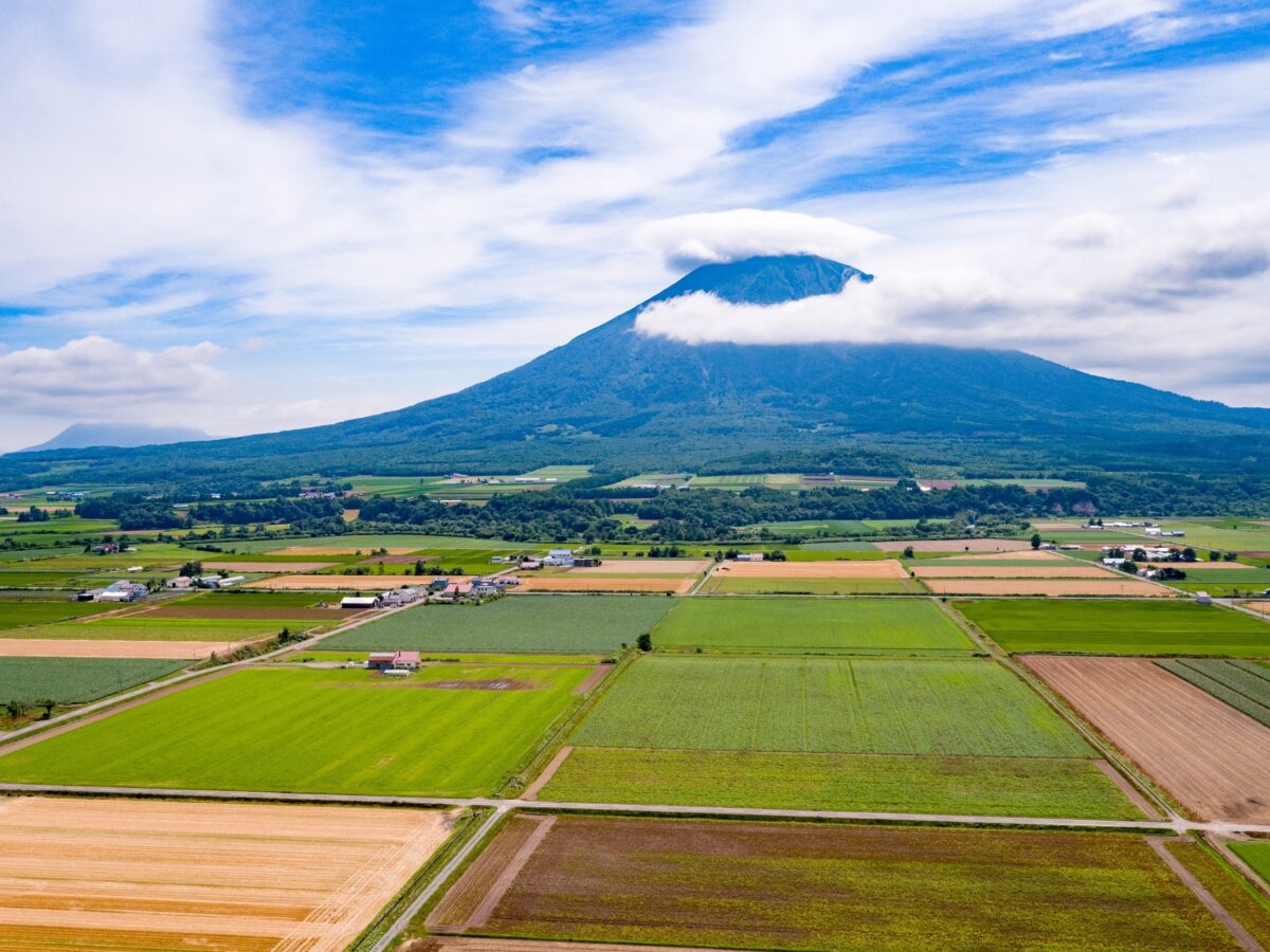 Niseko Summer Mt Yotei
