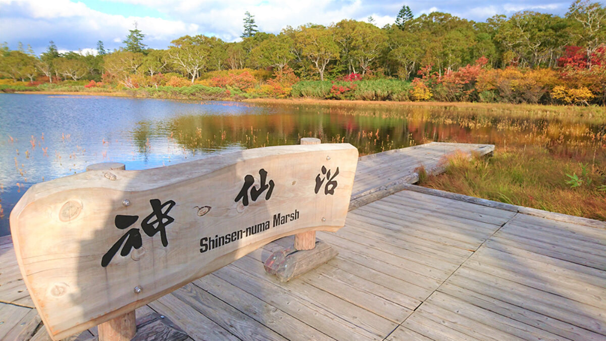 Shinsen Numa 2