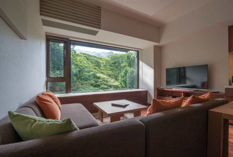 1 Bedroom Resort Views Living Room Summer Low Res