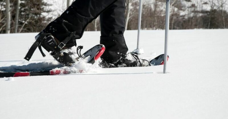 スキー YY 2026 Blizzard Anomaly 84 Skis | Blizzard | SkiEssentials