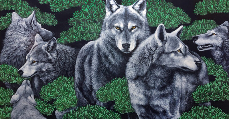 【新品】世界の動物遺産 〜集英社 創業９０周年記念企画〜 新品】世界の動物遺産 〜集英社 創業90周年記念企画〜