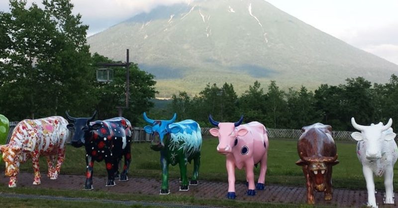 カウパレードニセコの【公式アプリ】と【COW COWキャンペーン】 | 木