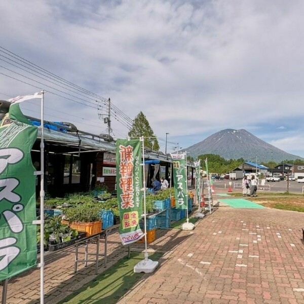 Niseko View Plaza