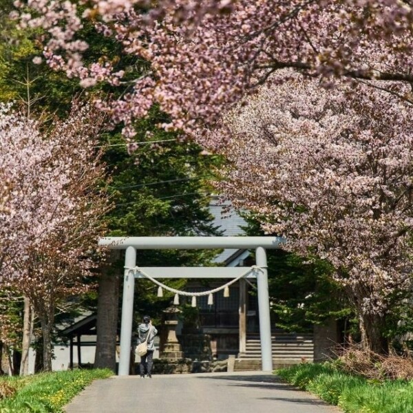 Makkari Shrine Entrance