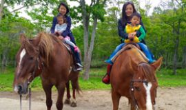 Enjoy a trail ride