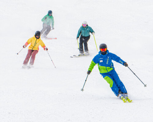 Kiwebsite Go Snow